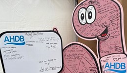 Giant worm unearths challenges at Cereals 2025 and Groundswell 2025